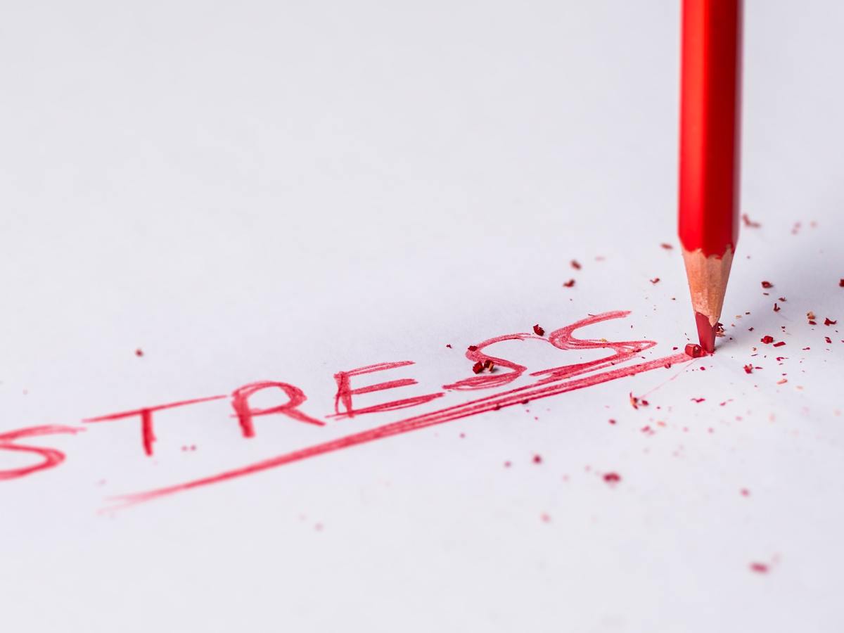 The Impact of Stress on&nbsp;Fertility